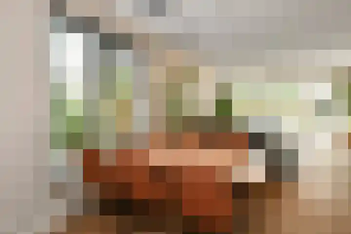 Apollo 5 Elst thumbnail 11