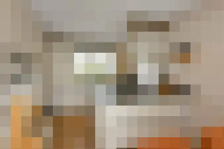 Apollo 5 Elst thumbnail 13