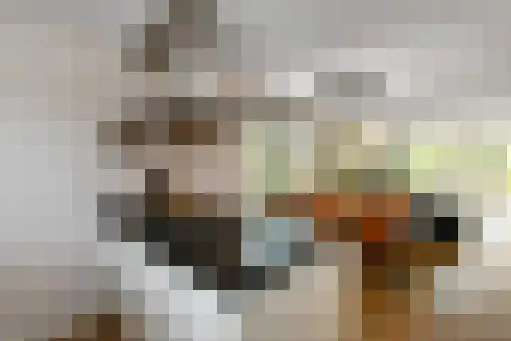 Apollo 5 Elst thumbnail 14