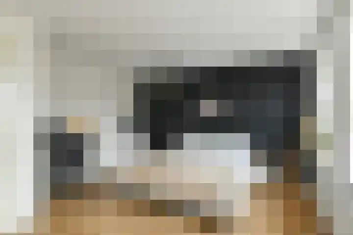 Apollo 5 Elst thumbnail 18