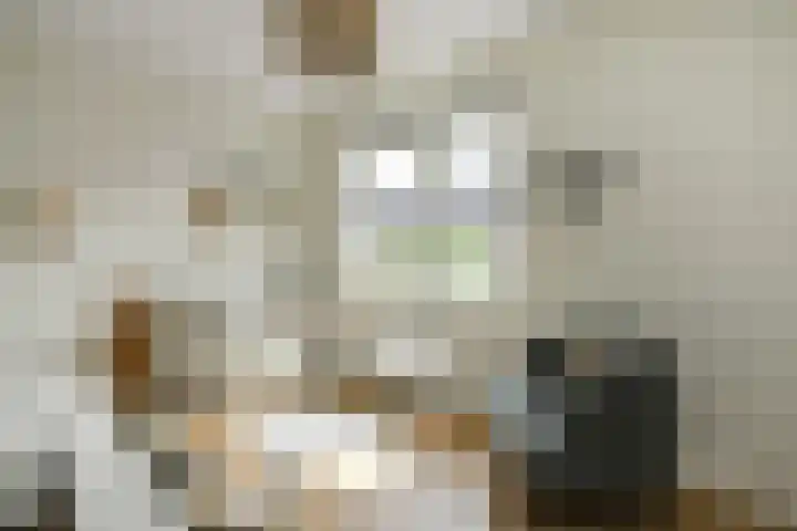 Apollo 5 Elst thumbnail 22