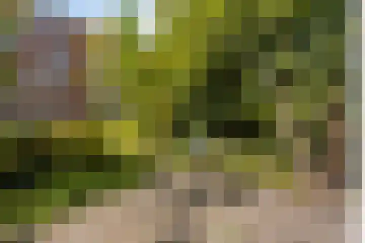 Apollo 5 Elst thumbnail 29