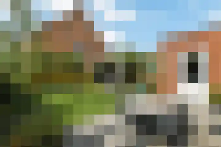 Apollo 5 Elst thumbnail 33