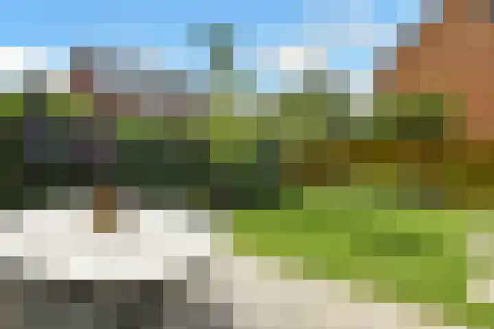 Apollo 5 Elst thumbnail 34