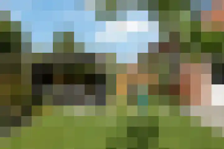 Apollo 5 Elst thumbnail 35