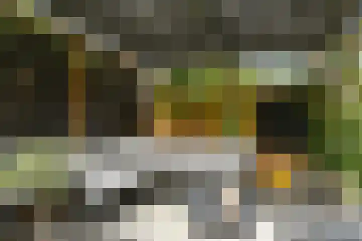 Apollo 5 Elst thumbnail 36