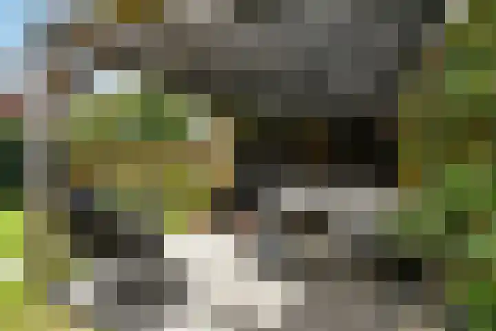 Apollo 5 Elst thumbnail 37