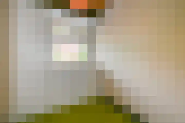 Apollo 5 Elst thumbnail 50
