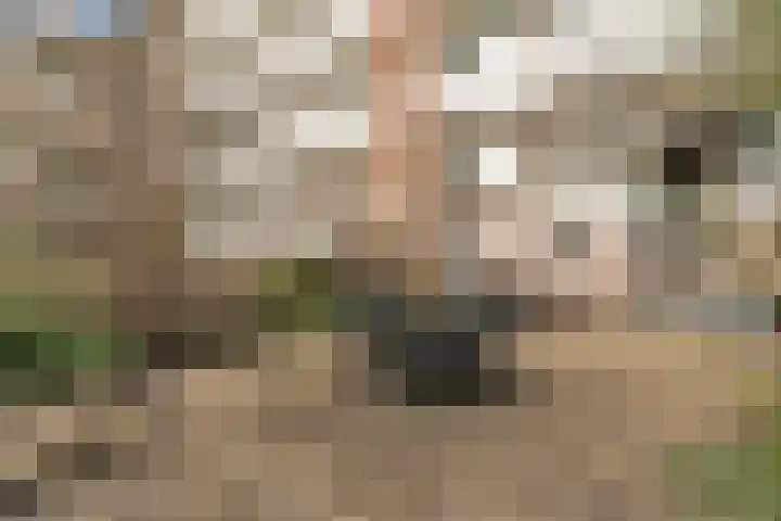 Apollo 5 Elst thumbnail 6