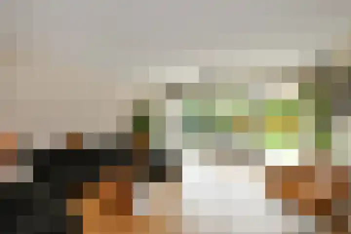 Apollo 5 Elst thumbnail 8