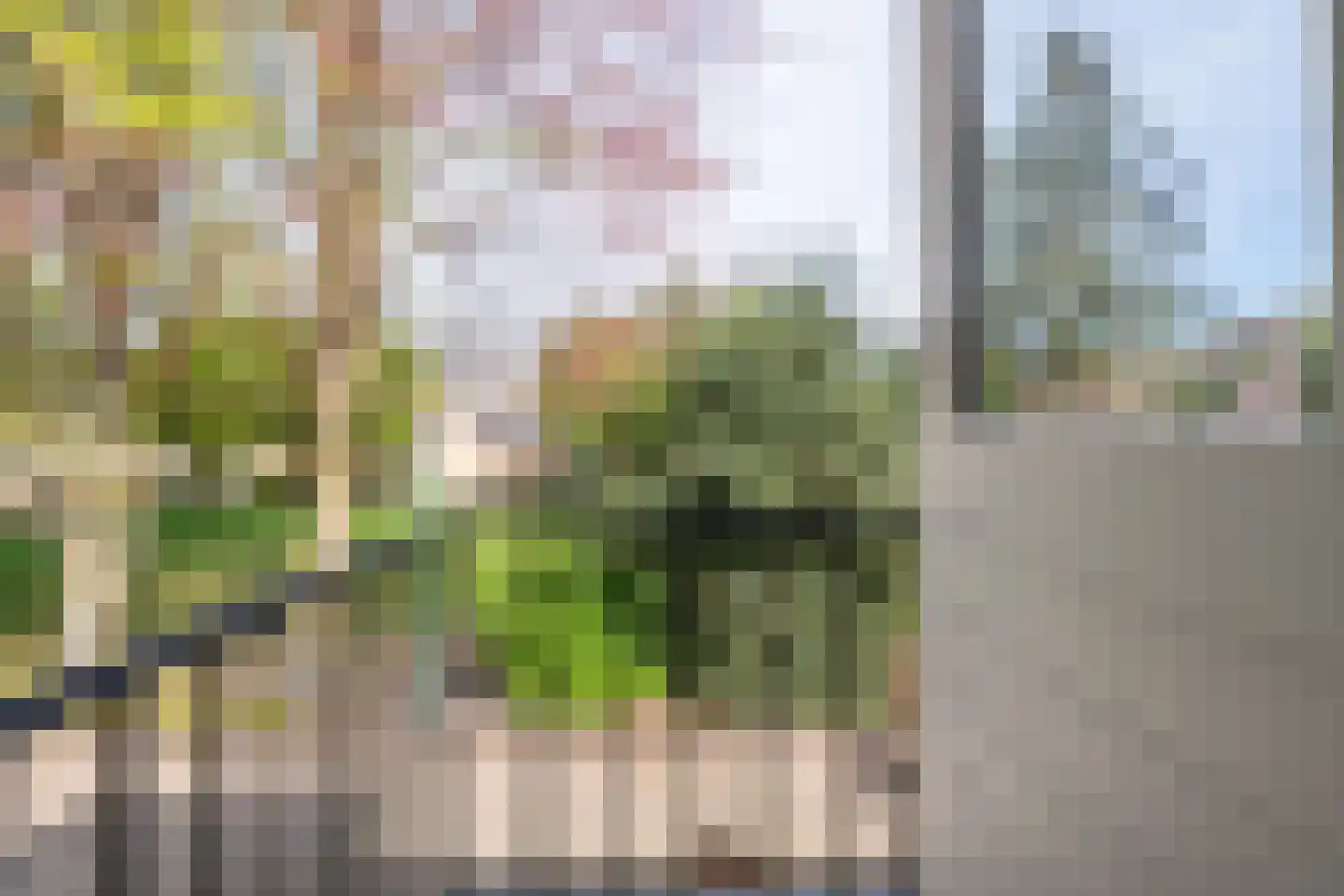 Apollo 5 Heeze thumbnail 23