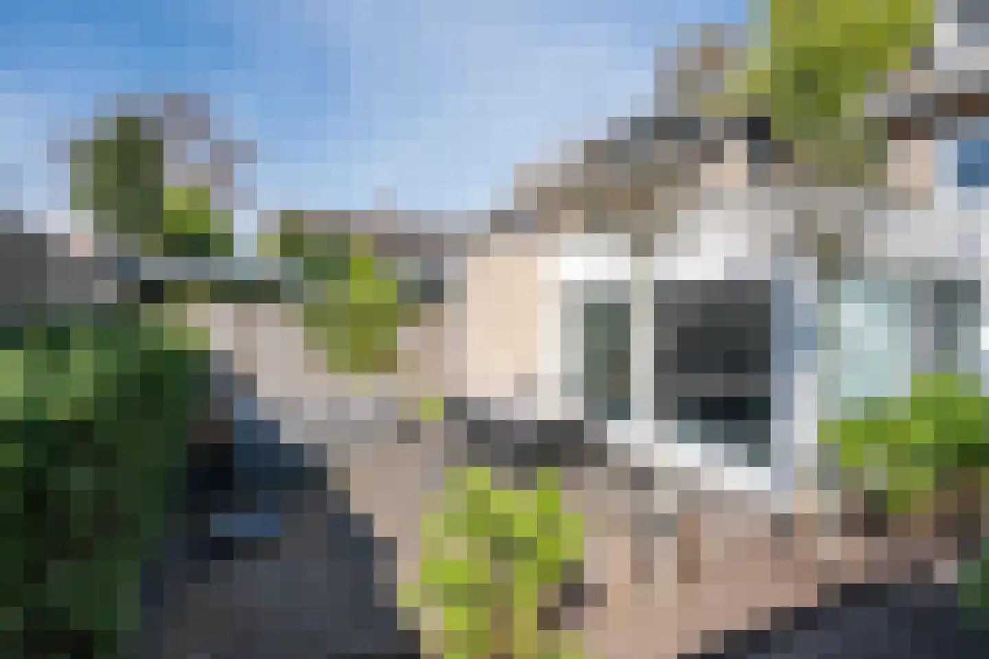 Apollo 5 Heeze thumbnail 4