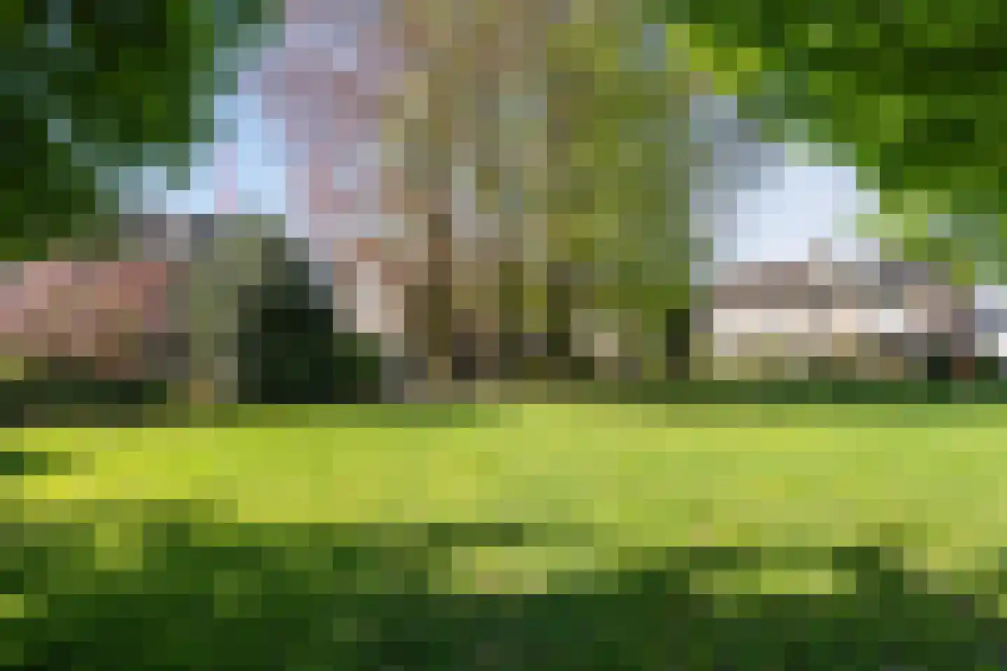 Apollo 5 Heeze thumbnail 45