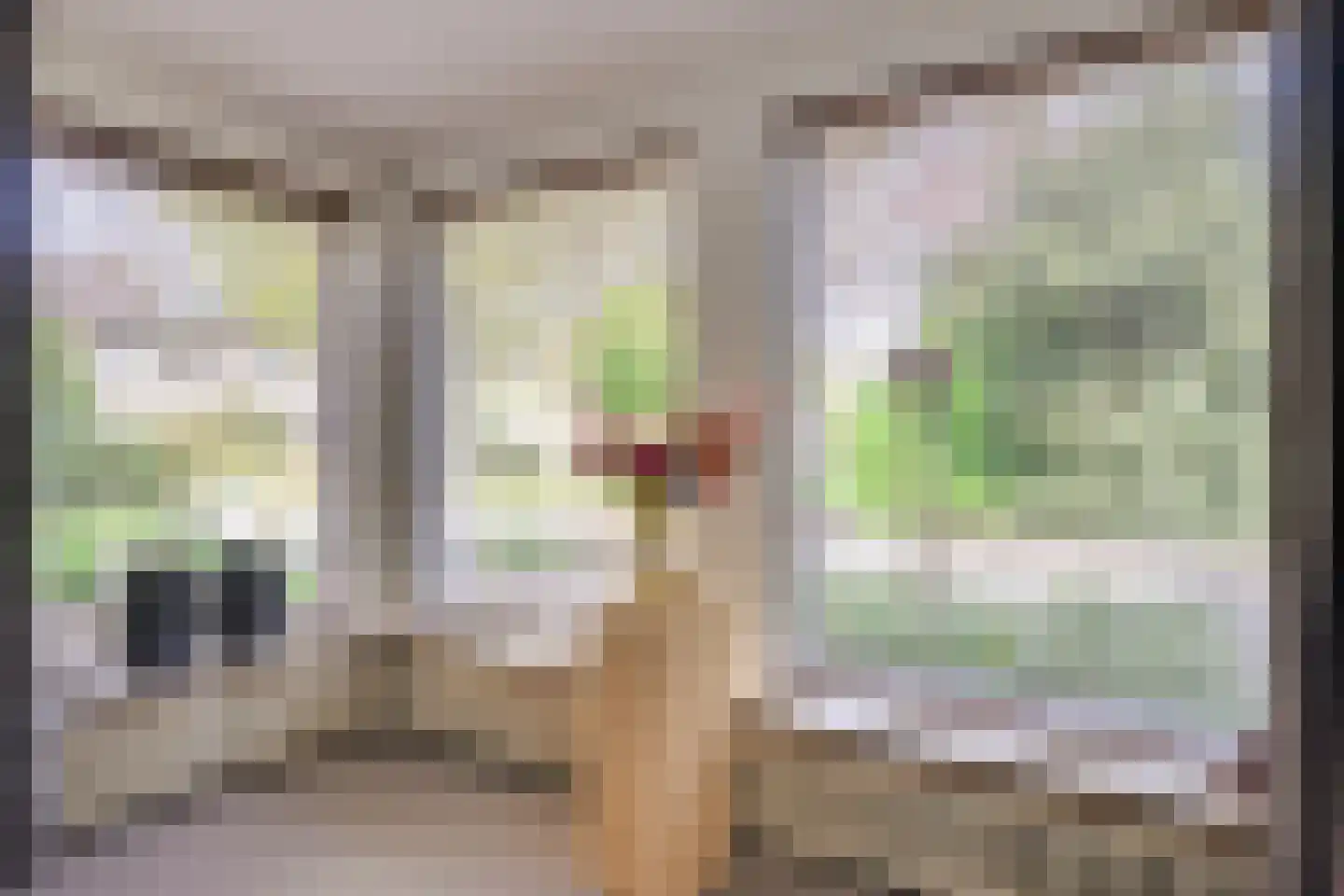 Apollo 5 Heeze thumbnail 8