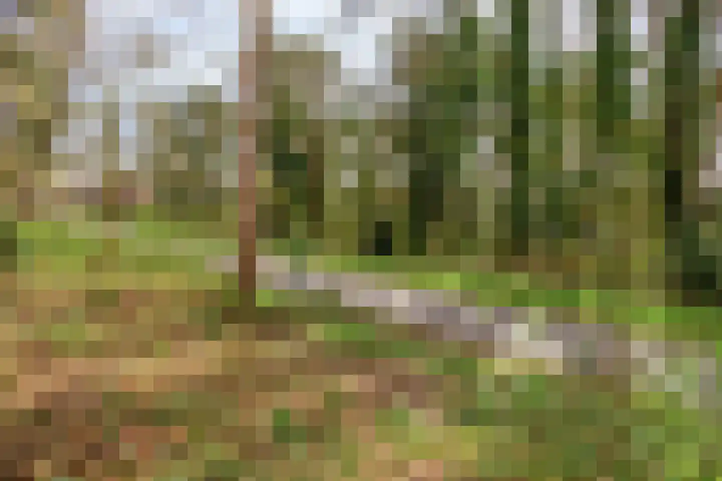 Apollo 82 Soesterberg thumbnail 23