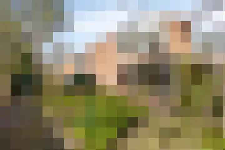 Apollo 82 Soesterberg thumbnail 4