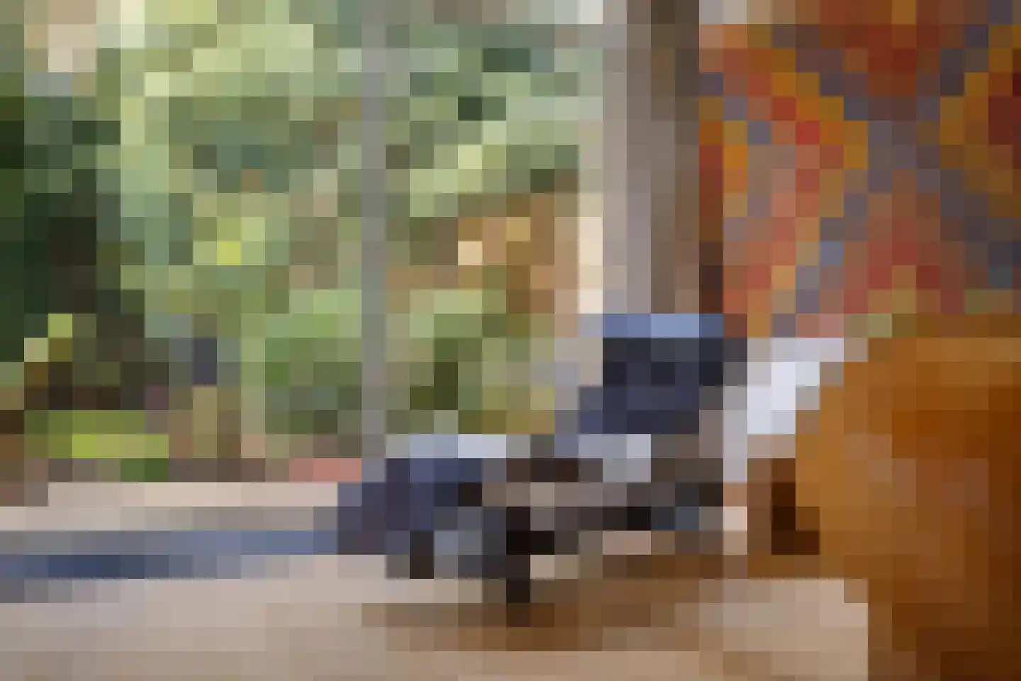 Apollo 91 Soesterberg thumbnail 14