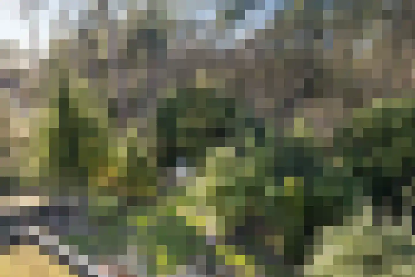 Apollo 91 Soesterberg thumbnail 33
