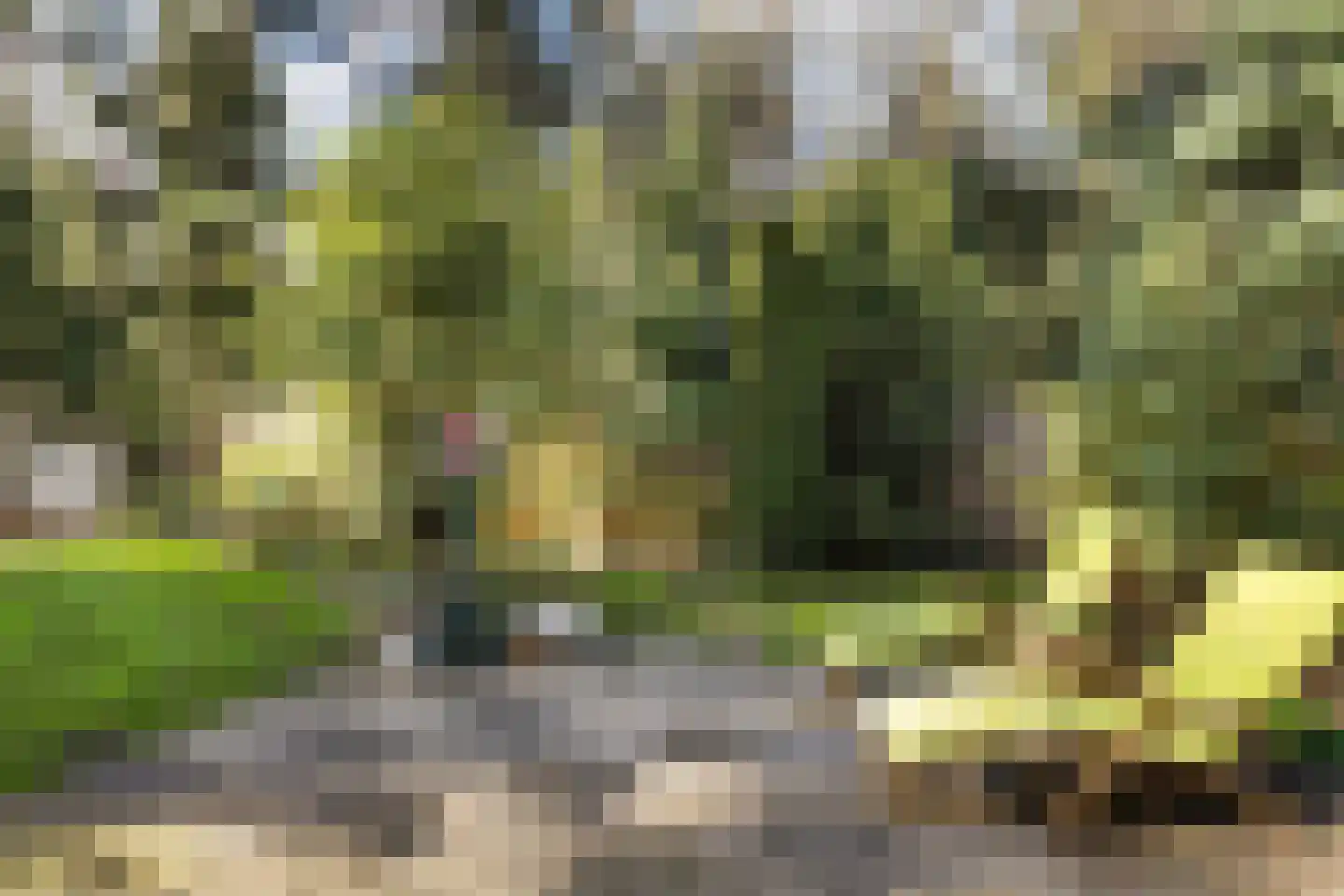 Apollo 91 Soesterberg thumbnail 34
