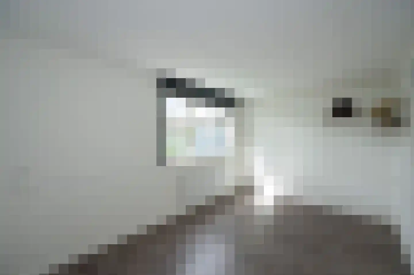 Apolloburg 160 Nieuwegein thumbnail 22