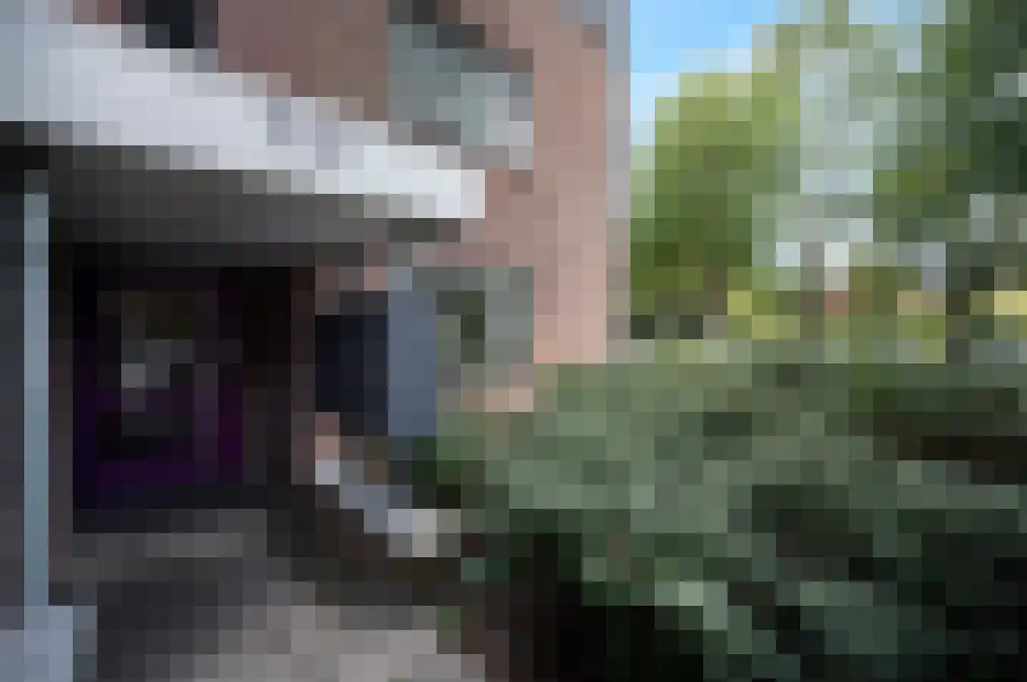 Apolloburg 160 Nieuwegein thumbnail 7