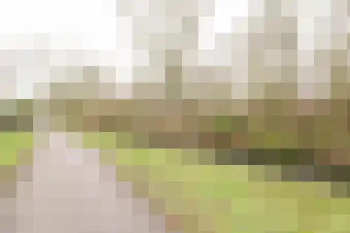 Apolloburg 184 Nieuwegein thumbnail 23