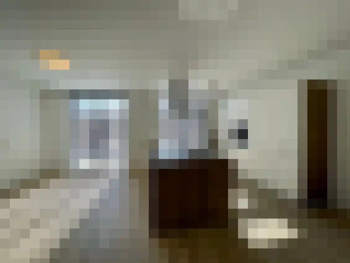 Apollohof 155 Maastricht thumbnail 5