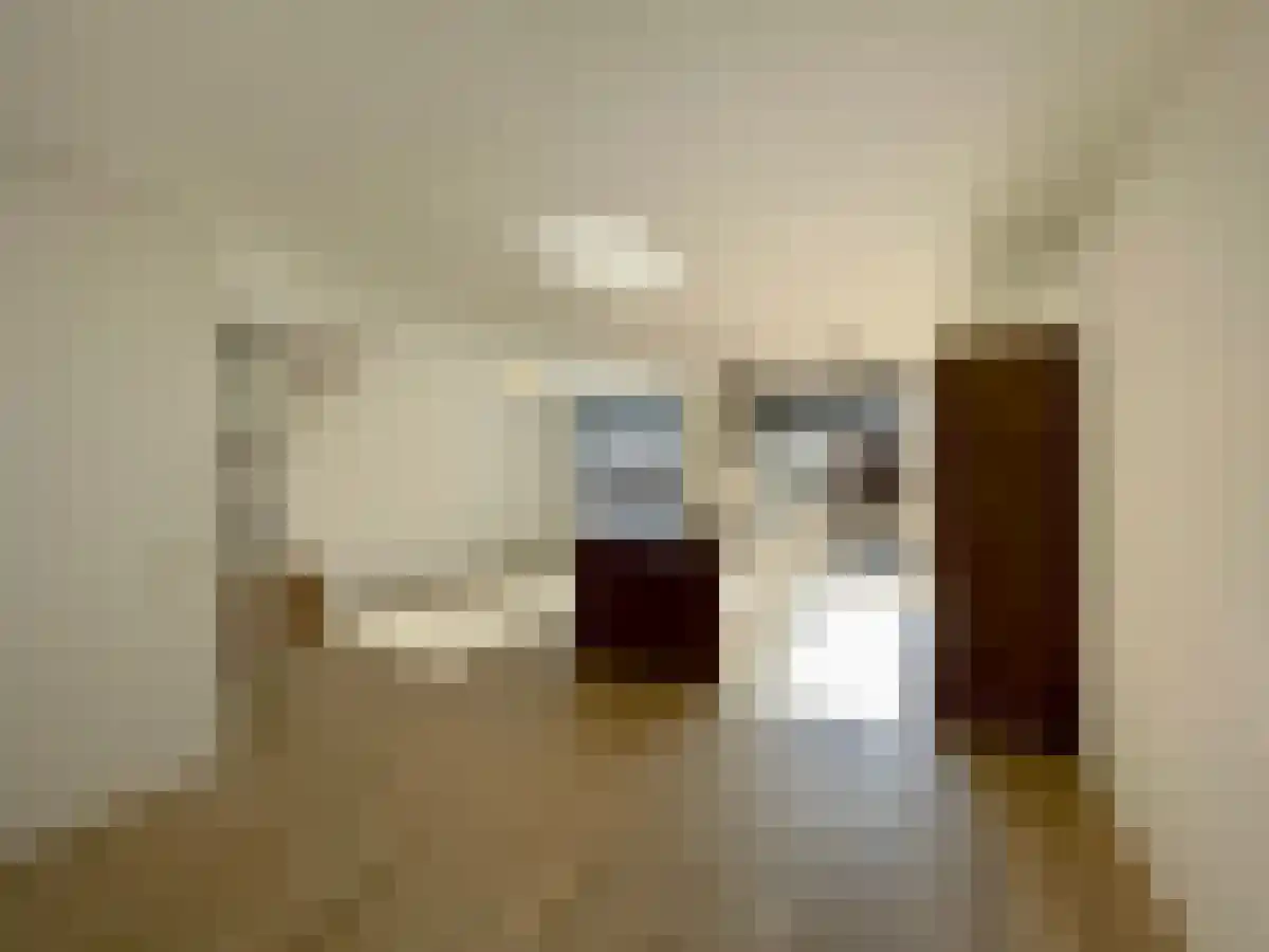 Apollohof 155 Maastricht thumbnail 6
