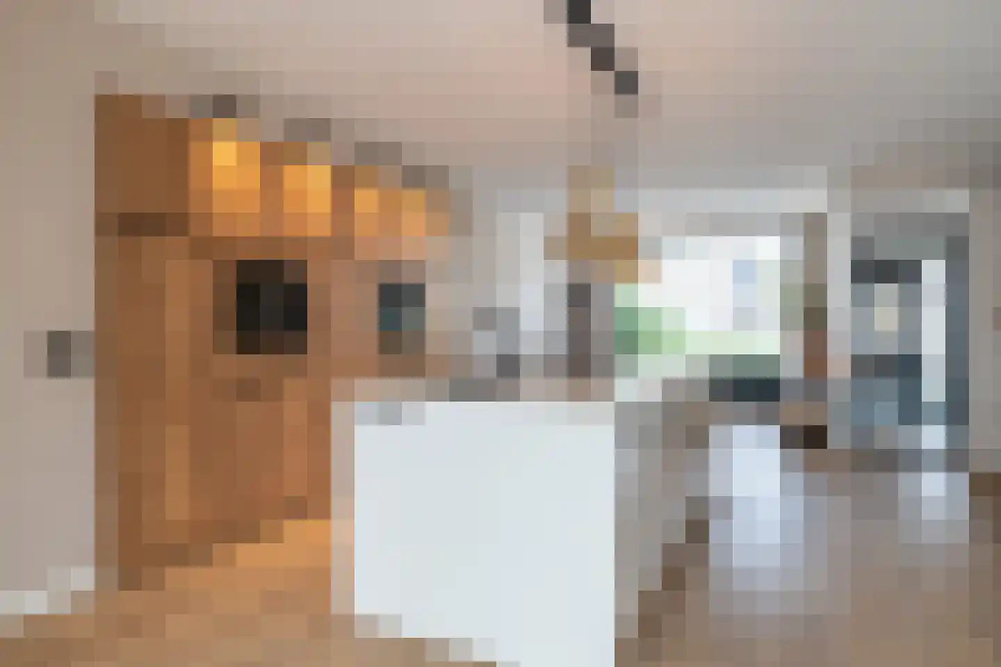 Apollohof 95 Maastricht thumbnail 10