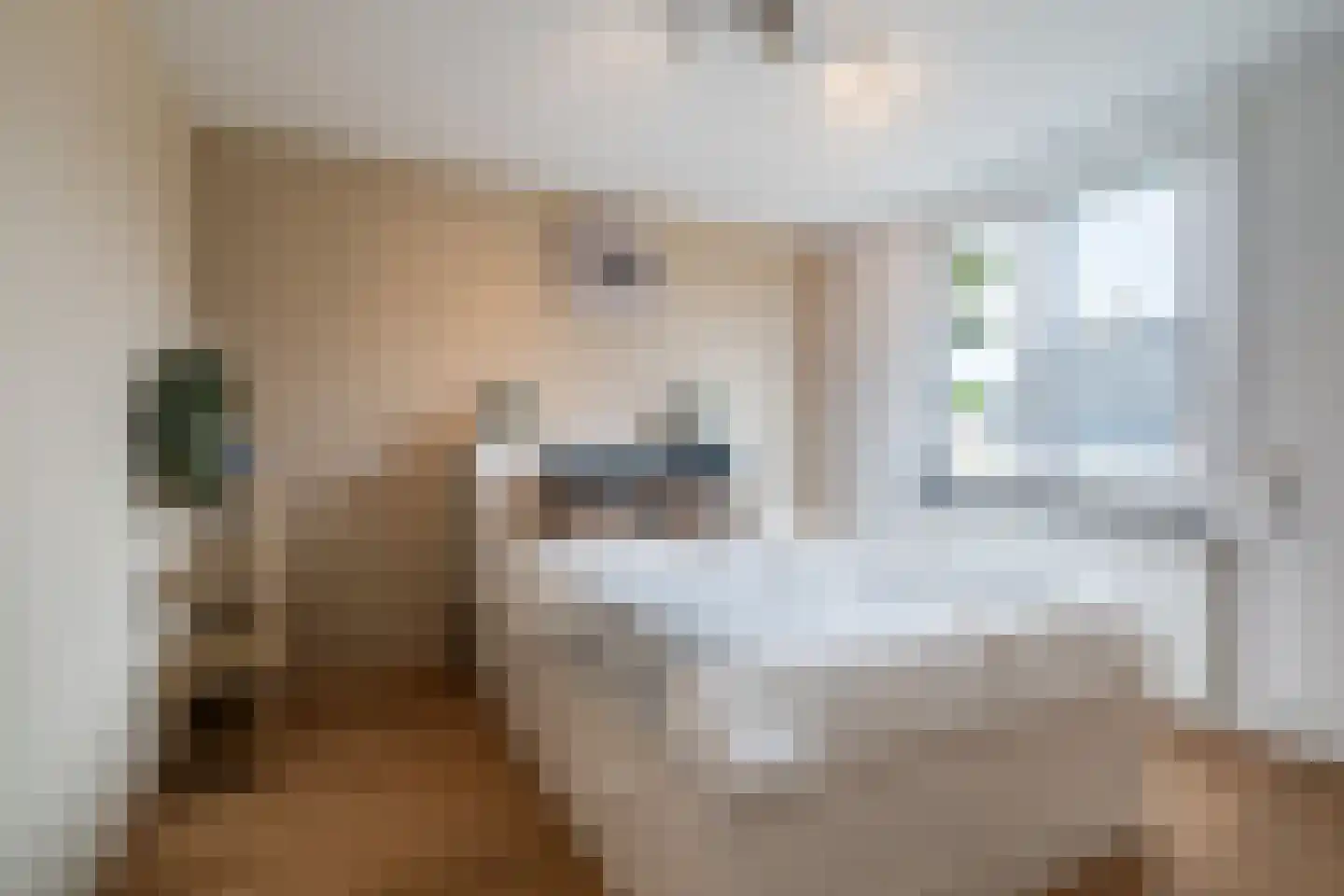 Apollohof 95 Maastricht thumbnail 13