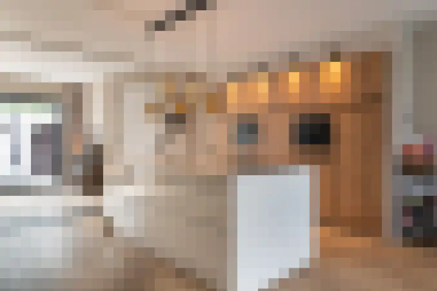 Apollohof 95 Maastricht thumbnail 8