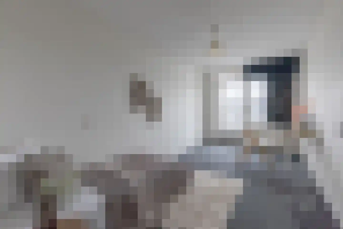Apollolaan 110 Heerlen thumbnail 15