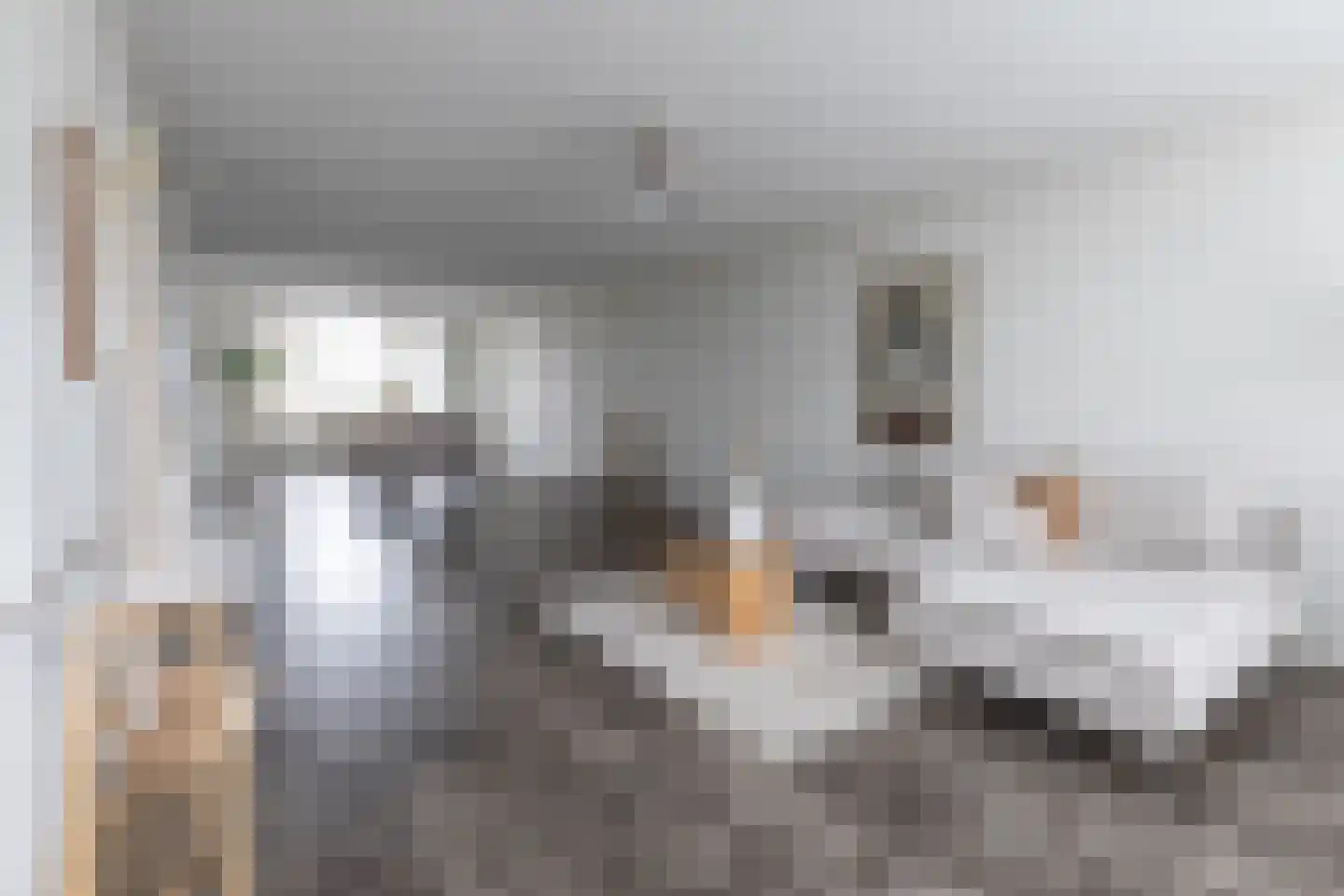 Apollolaan 110 Heerlen thumbnail 8