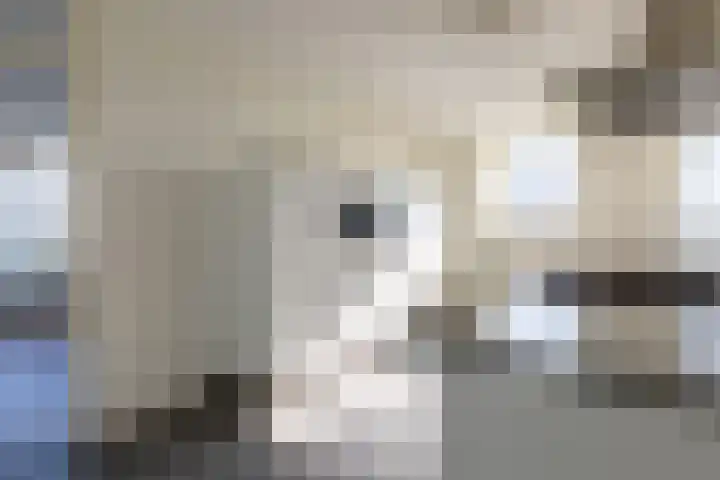 Apollolaan 116 Heerlen thumbnail 11
