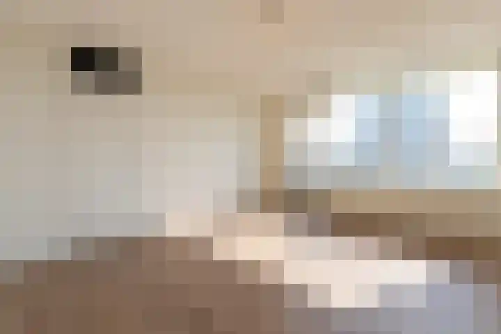 Apollolaan 116 Heerlen thumbnail 13