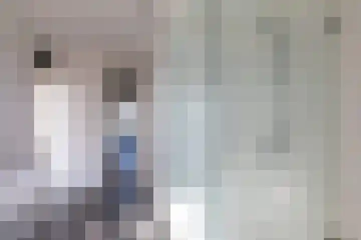 Apollolaan 116 Heerlen thumbnail 16