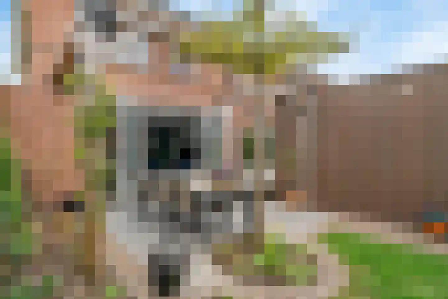 Apollolaan 118 Leusden thumbnail 15