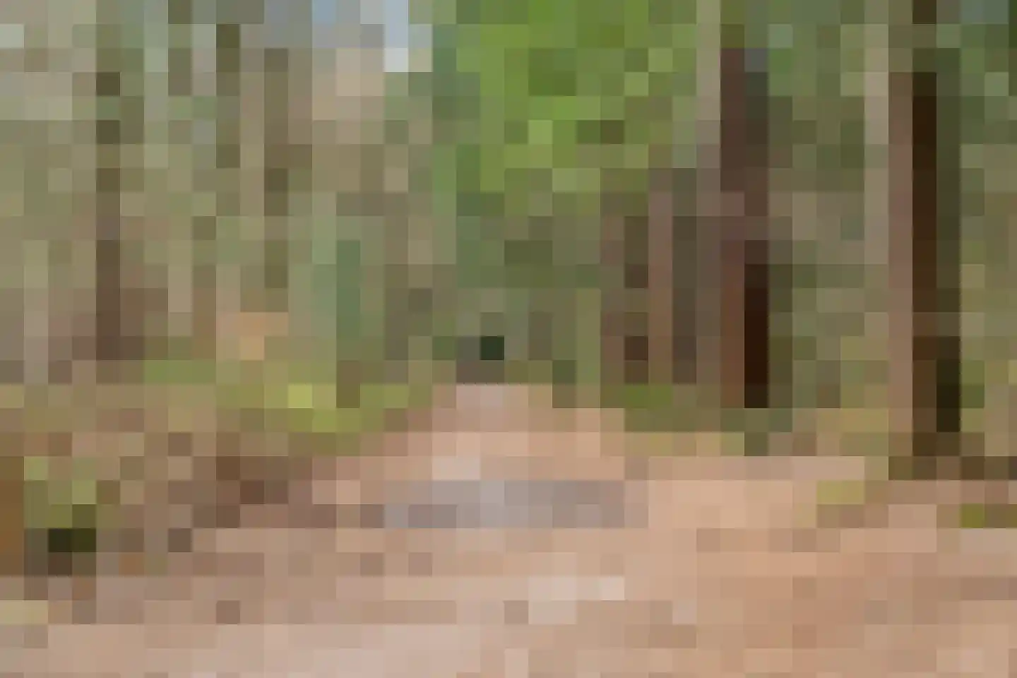 Apollolaan 118 Leusden thumbnail 33