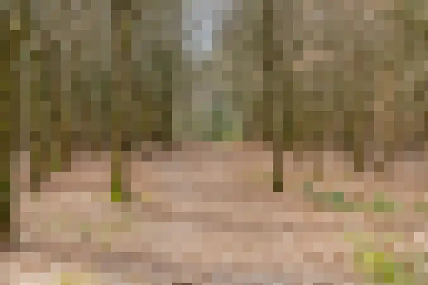 Apollolaan 118 Leusden thumbnail 34
