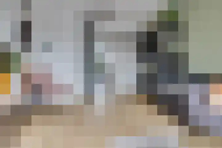 Apollolaan 126 Leusden thumbnail 10