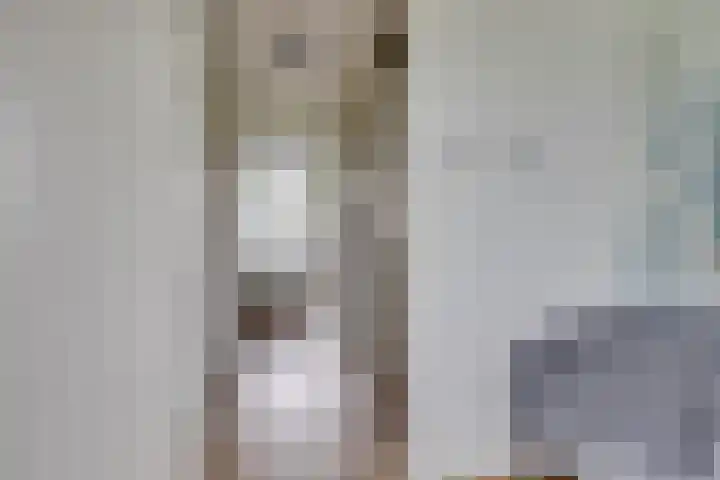 Apollolaan 126 Leusden thumbnail 16