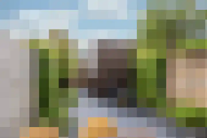 Apollolaan 126 Leusden thumbnail 27