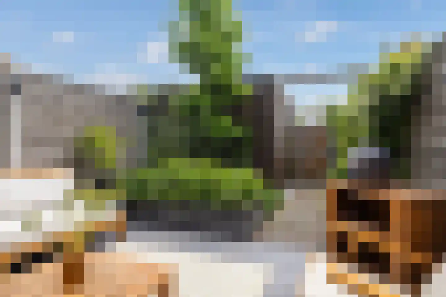 Apollolaan 128 Leusden thumbnail 6