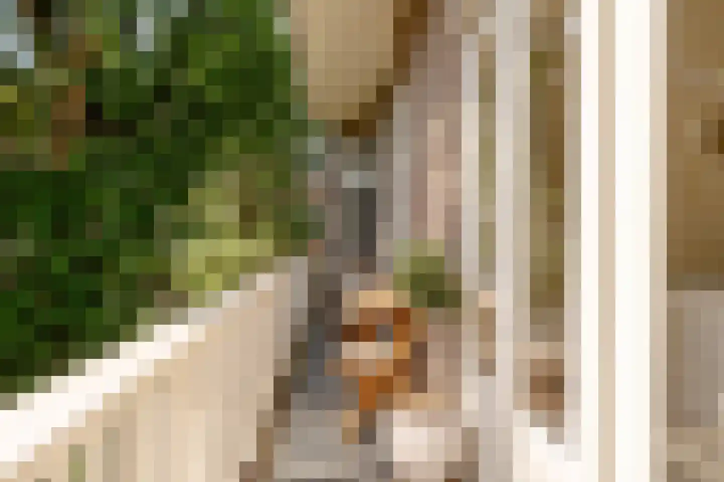 Apollolaan 129 2 Amsterdam thumbnail 16