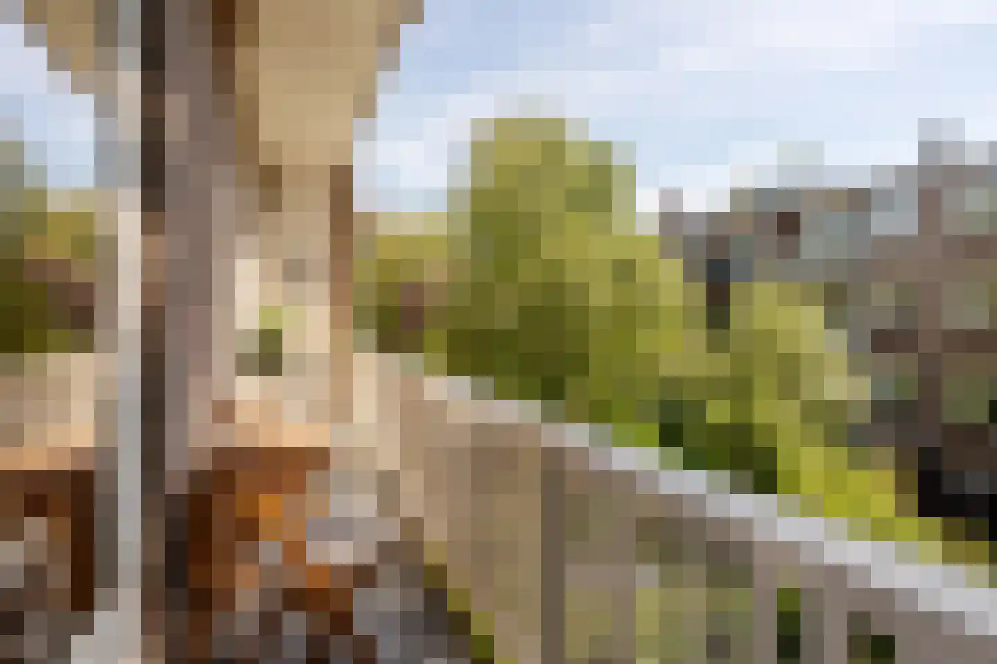 Apollolaan 129 2 Amsterdam thumbnail 17