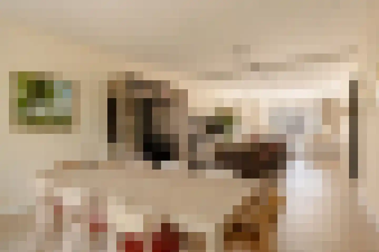 Apollolaan 129 2 Amsterdam thumbnail 23