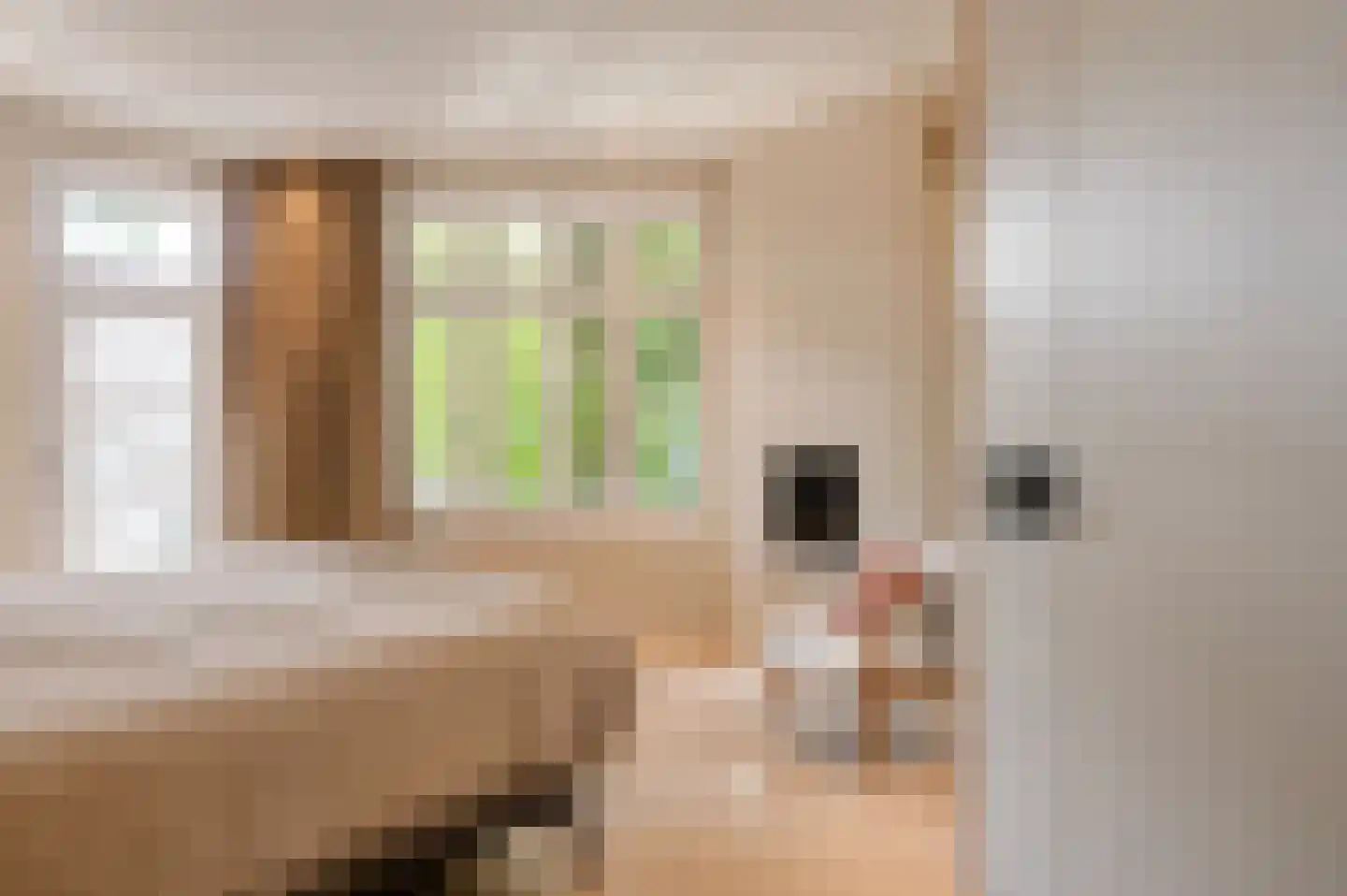 Apollolaan 129 2 Amsterdam thumbnail 35