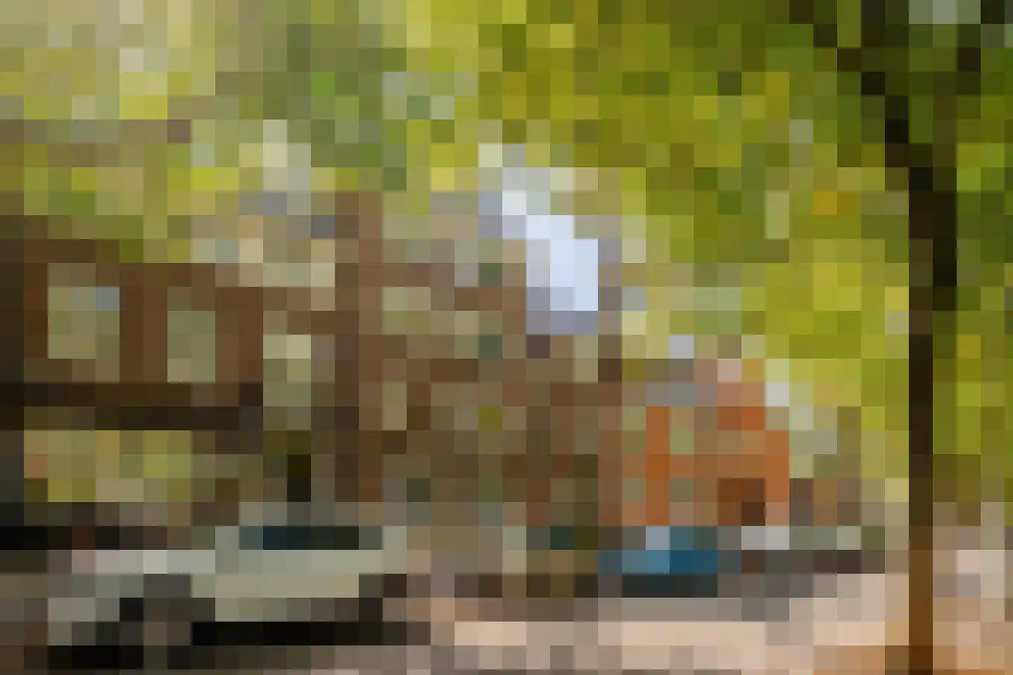 Apollolaan 129 2 Amsterdam thumbnail 43