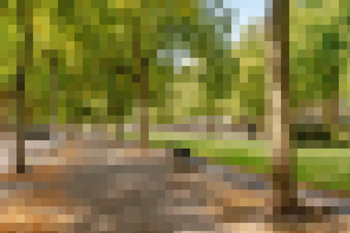 Apollolaan 129 2 Amsterdam thumbnail 45