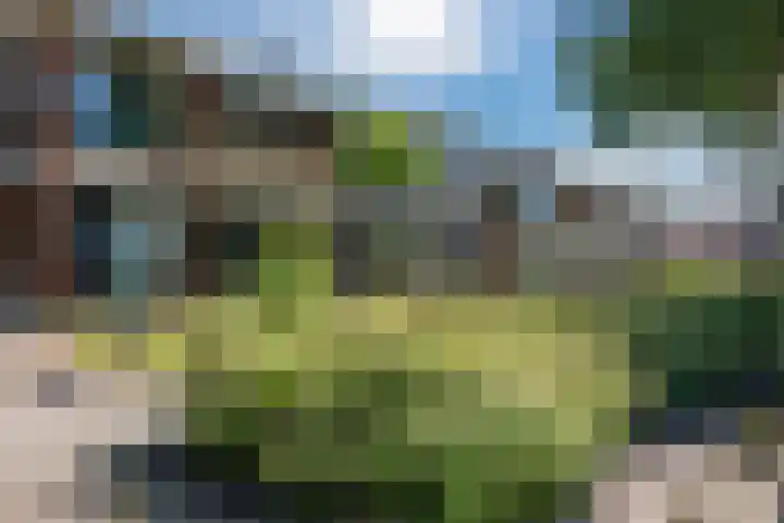 Apollolaan 14 Oude Pekela foto 2